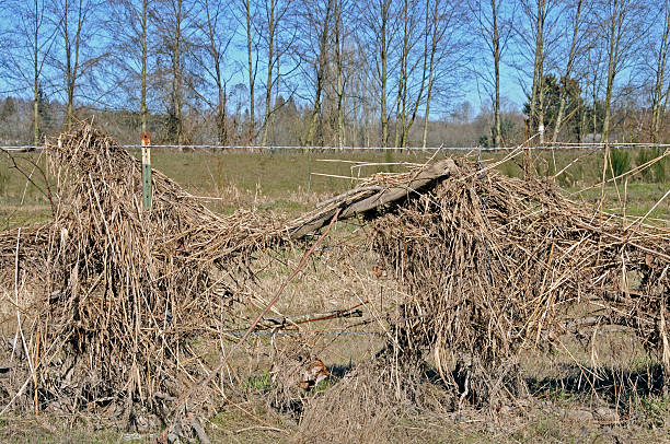 istock River flood debris caught in barbed-wire fence 174620731