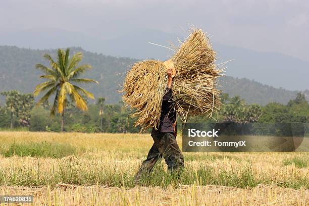 De Trabajo Foto de stock y más banco de imágenes de Agarrar - Agarrar, Agricultor, Agricultura