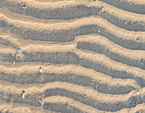 The surface of the beach sand dune and shell fragments in the summer.