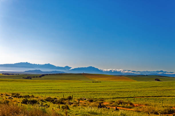 istock Panorama  of green fields, mountains and cloud 1746210814