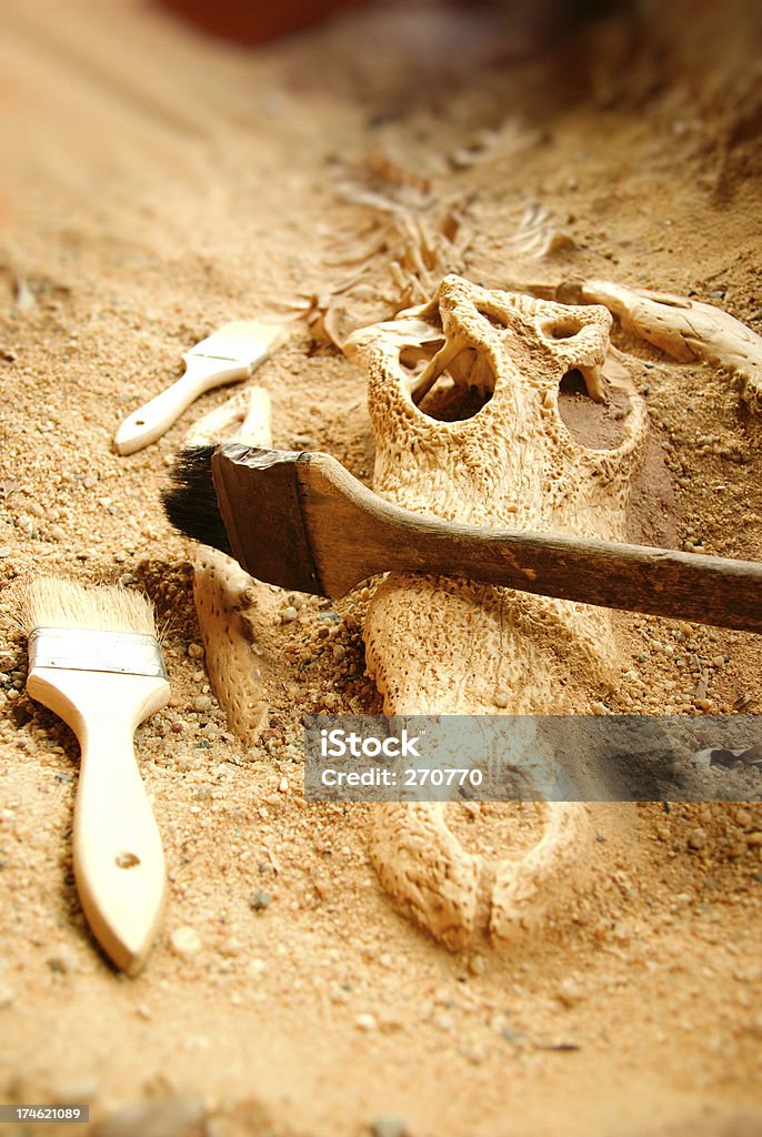 Wykopaliska Dig z Dinozaur kości - Zbiór zdjęć royalty-free (Archeologia)