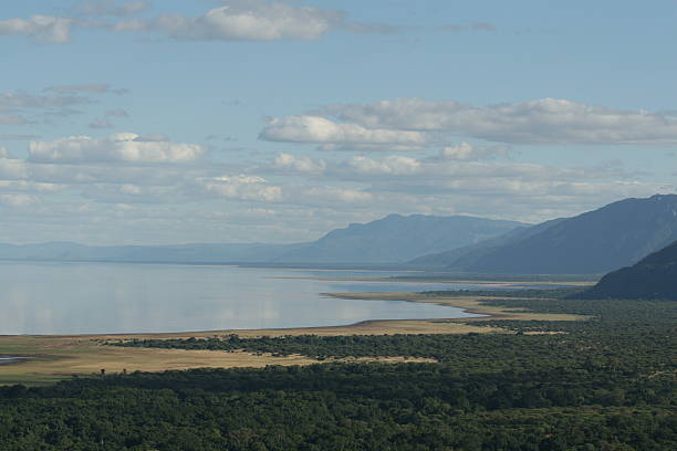 parque nacional do lago manyara - lake manyara national park - fotografias e filmes do acervo