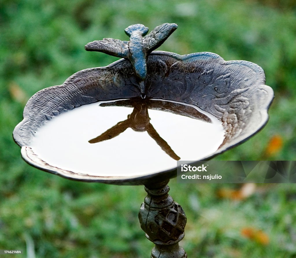 Vogelbad mit stone Vogel Reflexion - Lizenzfrei Vogelbad Stock-Foto