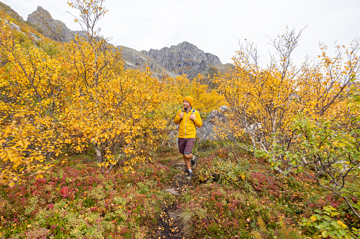 Man hikes in the mountains of Northern Norway, he looks at the view, autumn