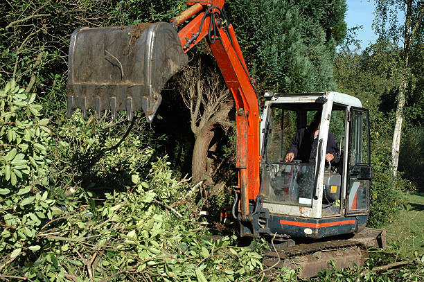 Garden - Mechanical digger Tracked excavator clearing vegetation glade photos stock pictures, royalty-free photos & images