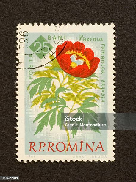 Photo libre de droit de Timbreposte Rouge Pivoine Rumania banque d'images et plus d'images libres de droit de Cachet de la poste - Cachet de la poste, Collection, Collection de timbres