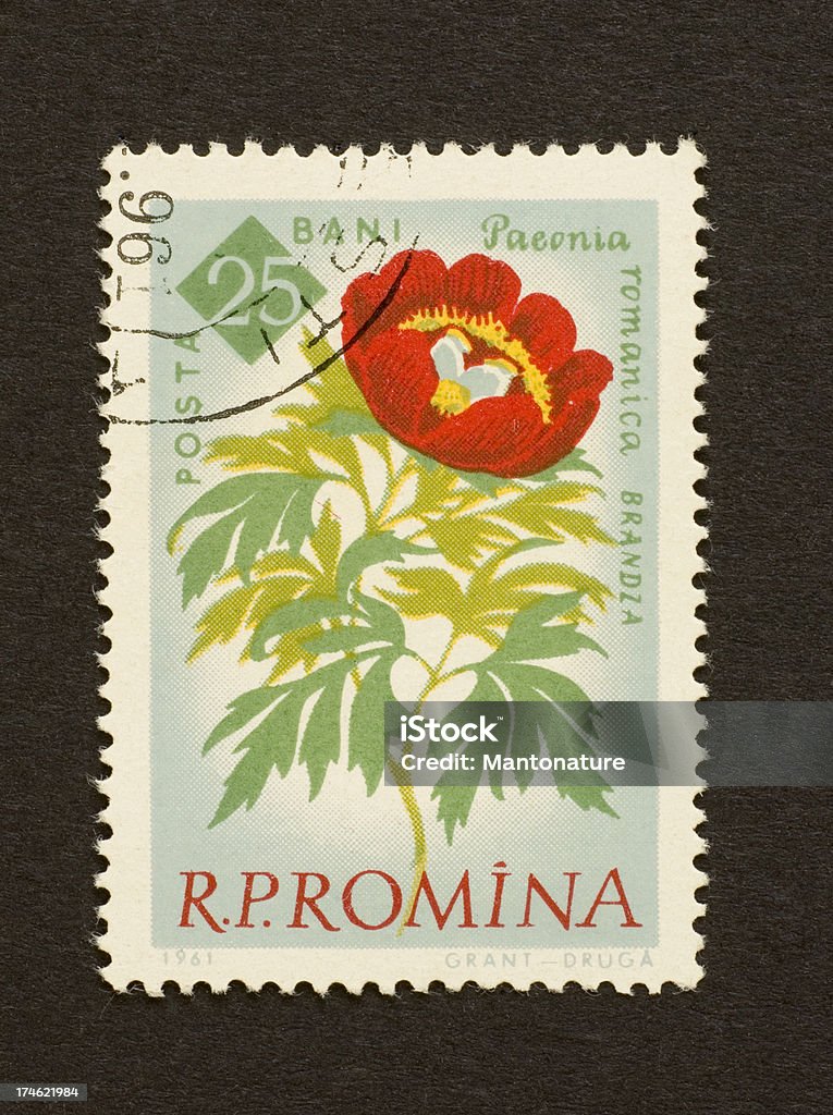 Francobollo postale: Peonia rossa (Romania - Foto stock royalty-free di Collezionare francobolli