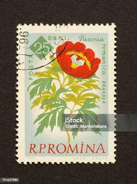 Francobollo Postale Peonia Rossa Romania - Fotografie stock e altre immagini di Collezionare francobolli - Collezionare francobolli, Collezione, Colore descrittivo