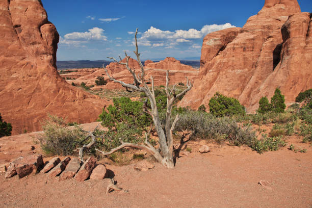 istock Arches Valley national park in Utah, USA 1746220039