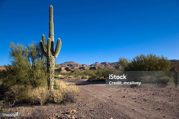 Escena Del Desierto Foto de stock y más banco de imágenes de Aire libre - Aire libre, Arizona, Arreglo