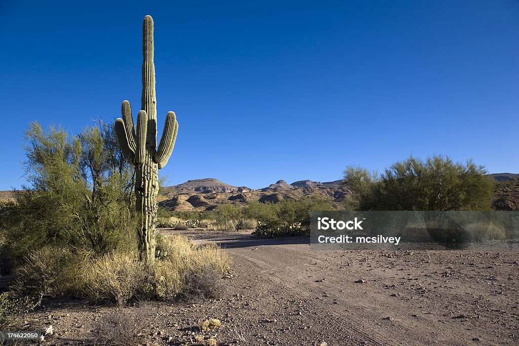 Scena deserto - Foto stock royalty-free di Ambientazione esterna