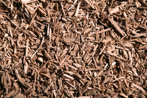 Closeup of mulch as a background.See more backgrounds here: