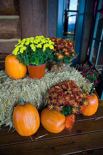 Yellow and gray pumpkins on a bench with a sheaf of hay. Nearby there are red flowers in a white box.