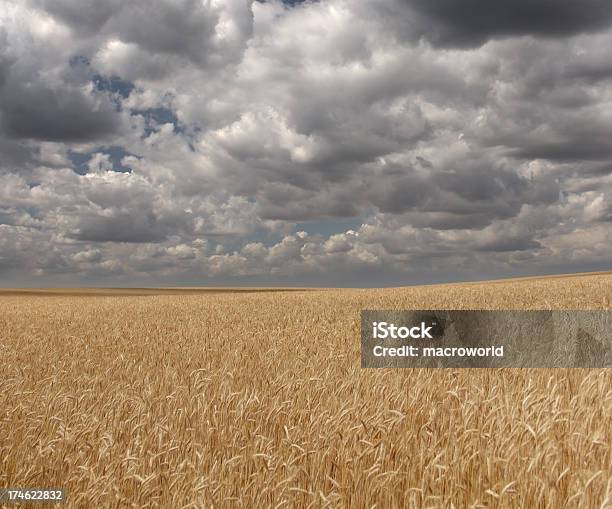 Krajobraz - zdjęcia stockowe i więcej obrazów Bez ludzi - Bez ludzi, Burza, Burza z piorunami