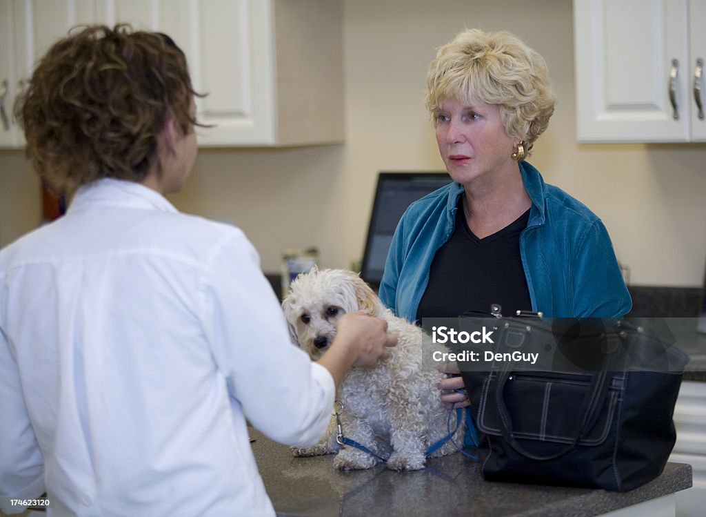 Veterinario consulta con el cliente en relación con la salud de su perro - Foto de stock de Animal libre de derechos