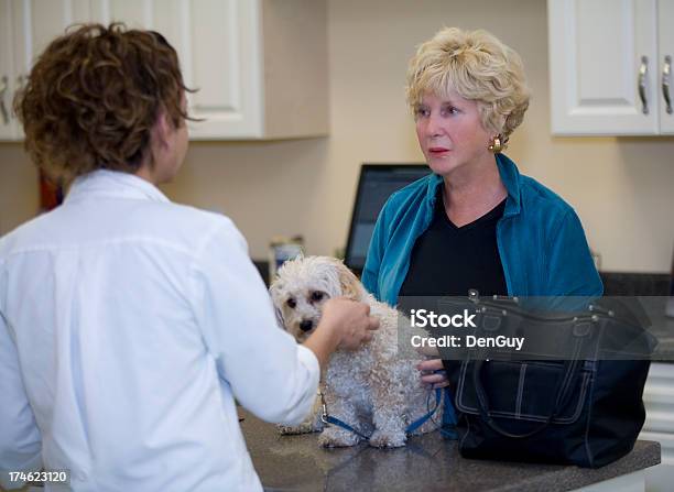 Photo libre de droit de Vétérinaire Consulte En Outre Avec Le Client Au Sujet De La Santé De Son Chien banque d'images et plus d'images libres de droit de Canidés