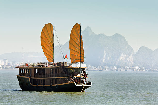 cruising a baía halong - halong bay vietnam bay cruise imagens e fotografias de stock