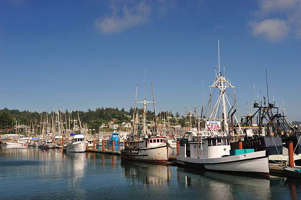 istock Fishing Boats at Yaquina Bay 174623398