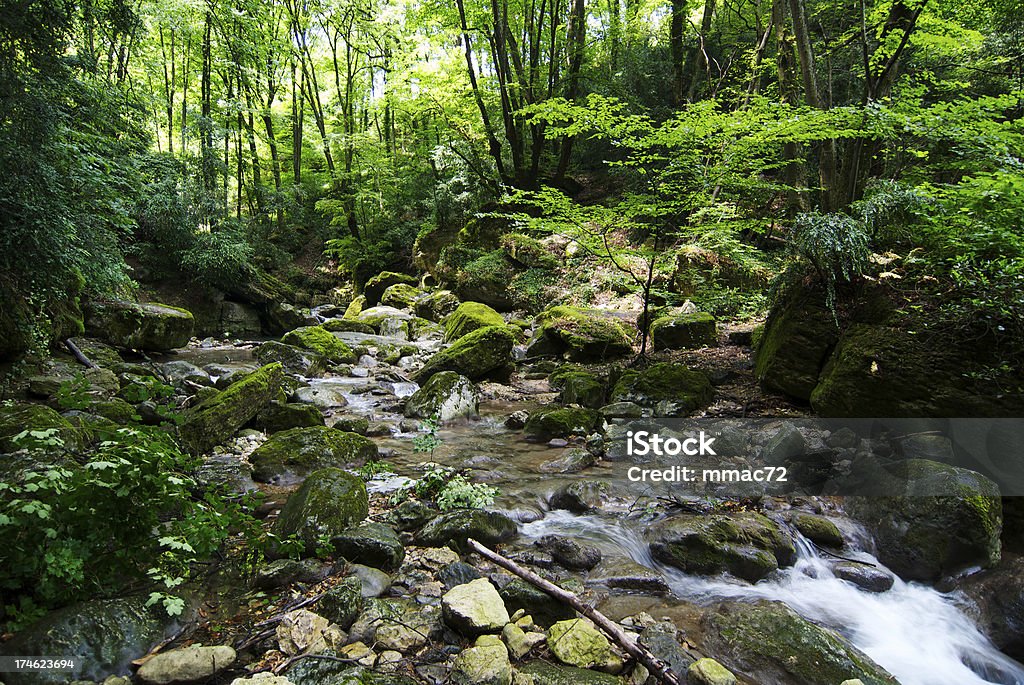 Flusso d'acqua - Foto stock royalty-free di Foresta