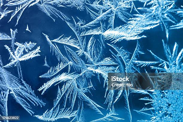 Photo libre de droit de Froid Frost banque d'images et plus d'images libres de droit de Gelée blanche - Gelée blanche, Arctique, Glace