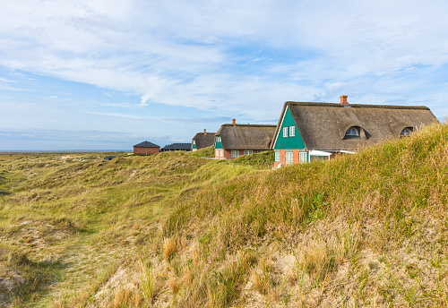 Thatched-roof summer houses in the dunes of Fanø Bad, Denmark