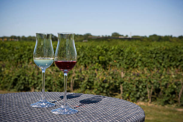 Wine Country stock photo