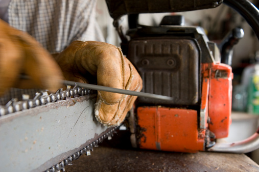 Sharpening a chainsaw20081026037See more in my Small Engine Repair lightbox: