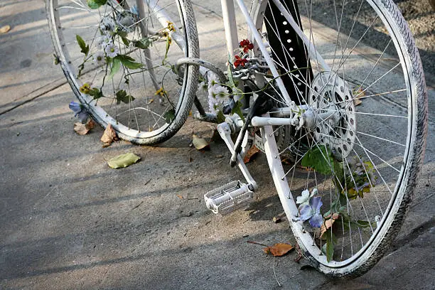 Photo of Ghost Bike II