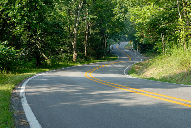 istock Curving country road. 174625515