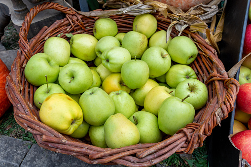 Large basket full of green apples at the fruit and vegetable market