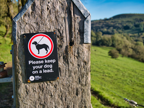 A black, white and red sign fixed to a weathered wooden post asking dog owners to keep their dog on a lead. Taken on a sunny day in autumn in Derbyshire, UK.
