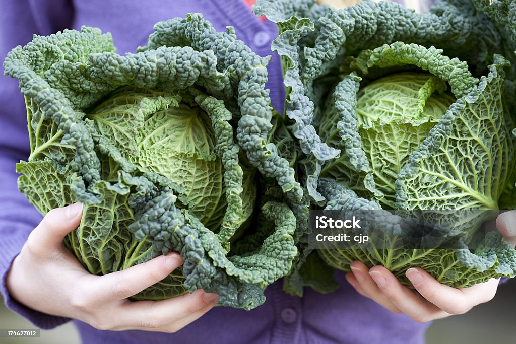 Ragazza Holding Cabbages - Foto stock royalty-free di Cavolo