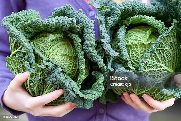 Ragazza Holding Cabbages - Fotografie stock e altre immagini di Cavolo - Cavolo, Cavolo verza, Cibi e bevande