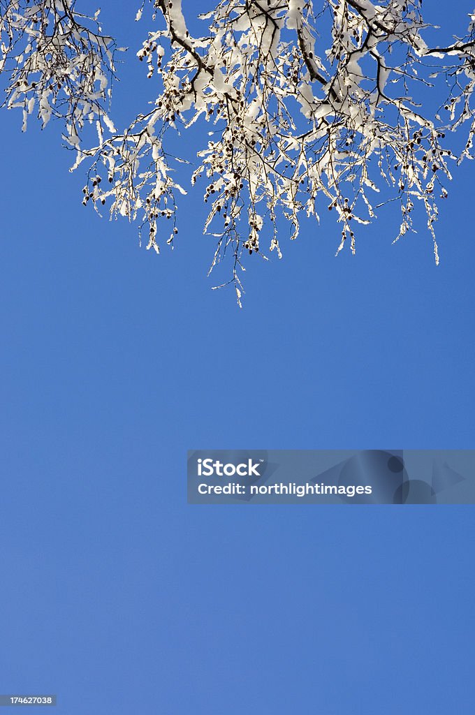 Снежные ветвей - Стоковые фото Абстрактный роялти-фри