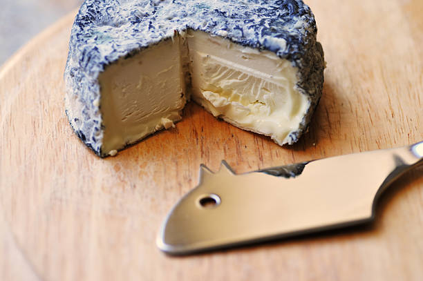 blue Selles-sur-Cher French goat cheese, in perfect condition, showing creamy interior. The cheese is reflected in the mouse-shaped cheese knife, adding to the mouse shape.