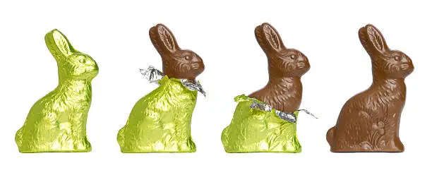 A chocolate Easter rabbit in various stages of unwrap. Set against a pure white background.