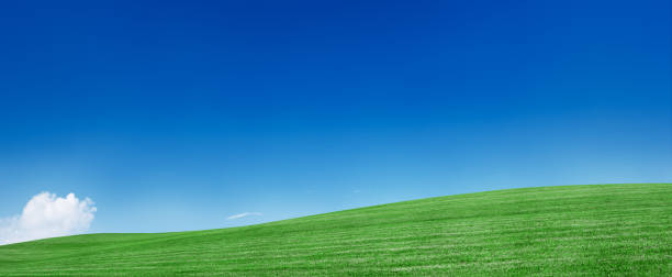 istock Panoramic spring landscape 96MPix XXXXL meadow, blue sky, clouds 174627900