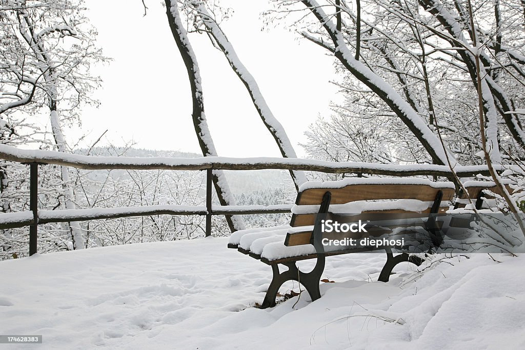 WinterWald - Lizenzfrei Abgeschiedenheit Stock-Foto