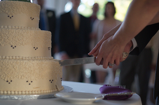 Bride and groom cutting a chocolate wedding cake.