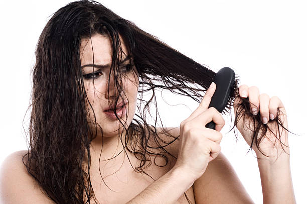 Bad hair day stock photo