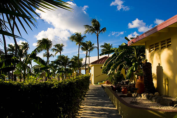 istock Manchebo Resort, Aruba 174629930