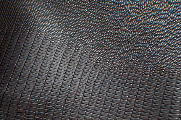 istock Dark Fake Alligator Background 174629939