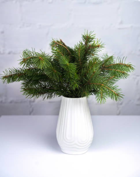 istock Christmas or New Year composition with fir branches in white vase on the table. Selective focus. Close-up. 1746299684
