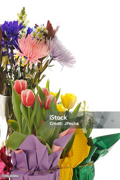 연두빛 꽃 장식 꽃-식물에 대한 스톡 사진 및 기타 이미지 - 꽃-식물, 밝은 색상, 흰색 배경