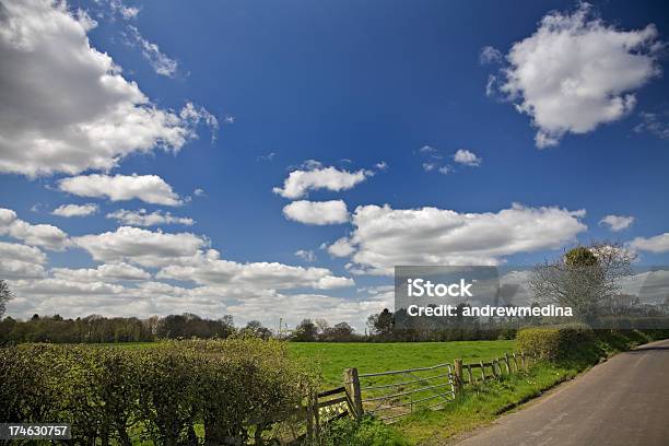 Russian Country Lane — стоковые фотографии и другие картинки Белый - Белый, Забор, Обочина