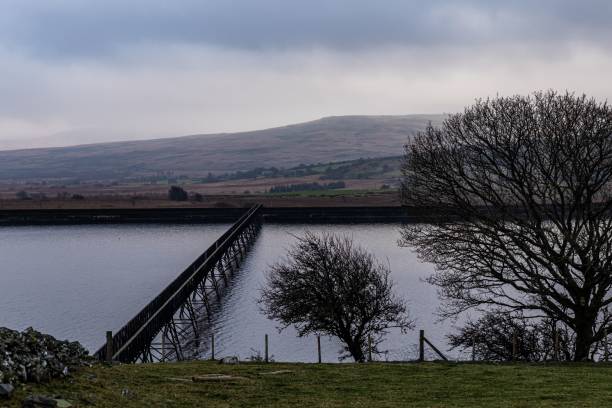 istock two trees are by the water and a fence is around them 1746308954