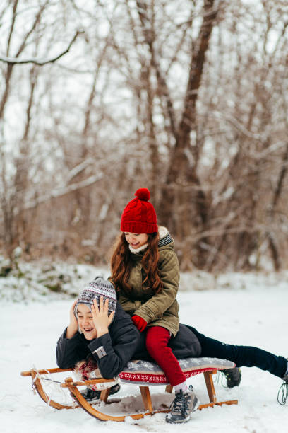 istock Children having fun sliding with sledge on the snow in the nature 1746310020