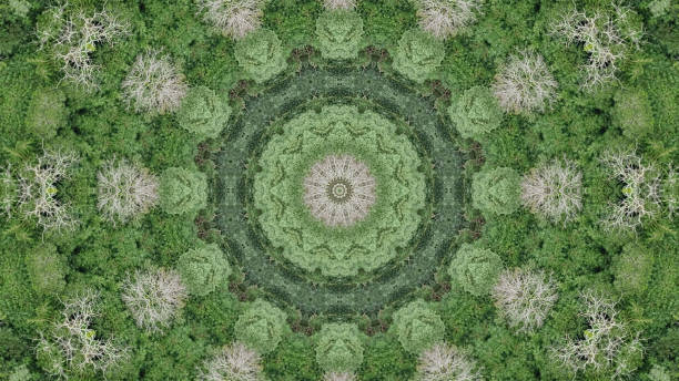 istock Highly detailed mandala style patterns that are ideal for concepts including meditation, relaxation, eastern religious iconography, psychedelic imagery and more. 1746310597