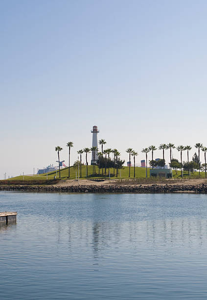 istock Long Beach Light House on Sunny Day with Palm Trees 174631088
