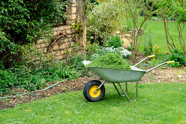 istock Grass Clippings in a Wheelbarrow for Garden Mulching 174631321